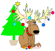 deer3